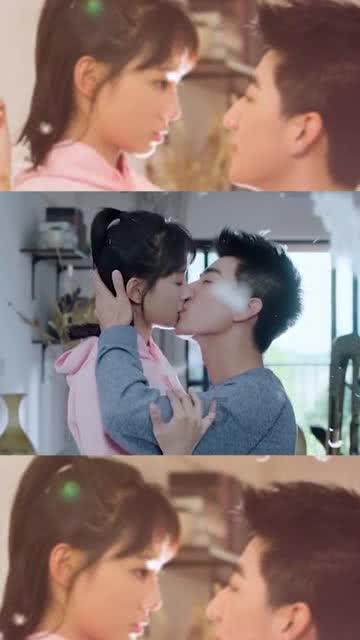 萌犬找不同